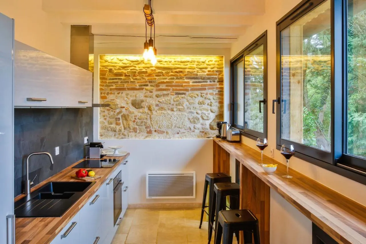 Villa Peyrigue Seysses-Saves Holiday home